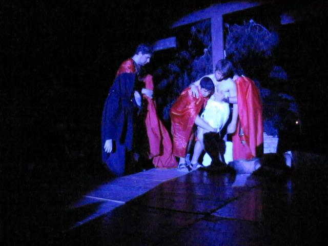 IMG_7444-VIDEO