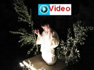 IMG_7369-VIDEO