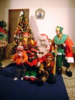 DSC00469a