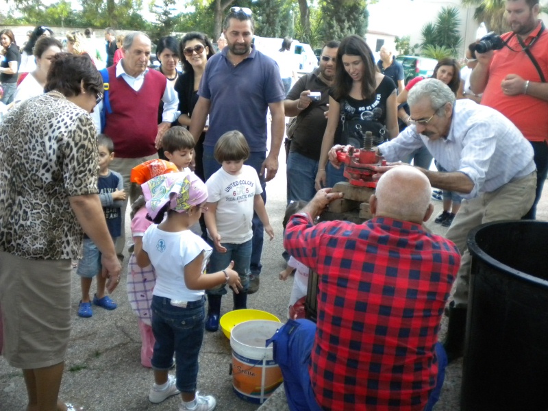 DSCN2903