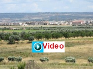 IMG_1313-VIDEO