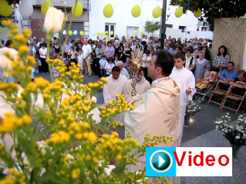 IMG_2206-Video